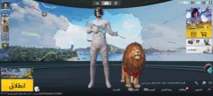حساب ببجي مرتب