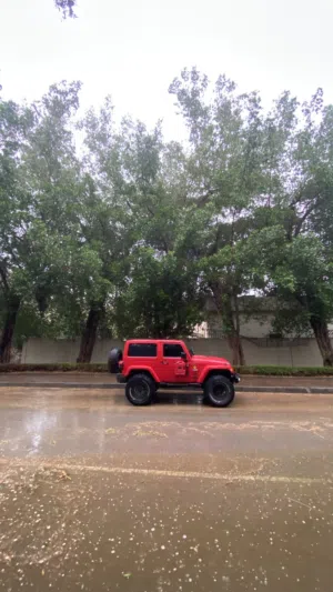 جاهز للاستخدام  jeep