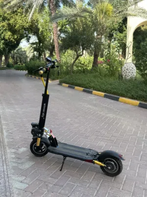 Electric Scooter with Seat – Only 140Km Used