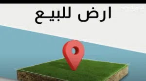 ارض طمينه 290 متر