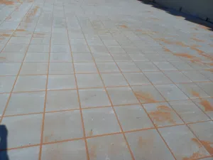 الريان لتوريد وتركيب الانترلوك واعمال تصميم  وتنفيذ الحدائق وشبكات الي المؤتمتة (دبي -عجمان-الشارقة)