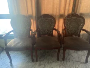 Expensive luxury chair for whole brown cour