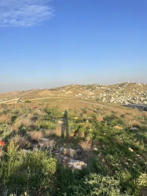 Residential Land for Sale in Zarqa Um Rummanah