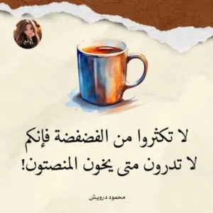 ابو يوسف 