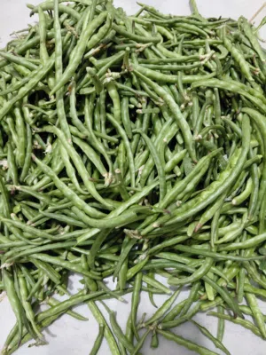 لوبيا بعل تازا