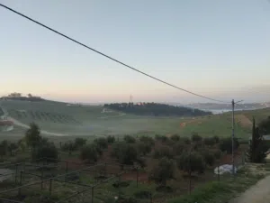 Farm Land for Sale in Mafraq Rhab