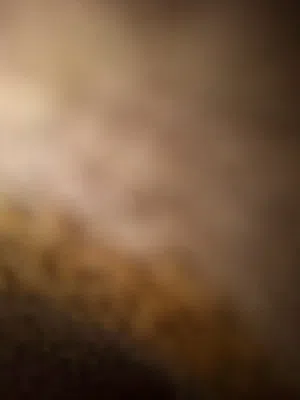 زكي بياري 
