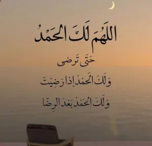 فارس العلمي 