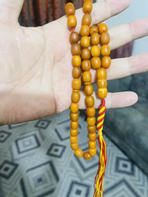 كهرب بولوني حر