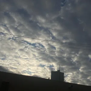 عبدالباقي الشتيوي 