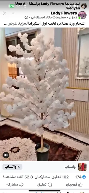 Trees - Plants0
