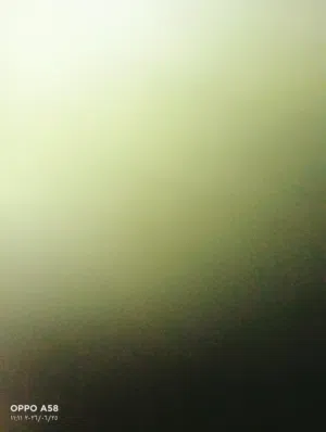 قطع موجود قير مسي 4غيار انجليزي اصلي شبه وكاله  موجود ماتور مسي 3سلندر افرهول جديد