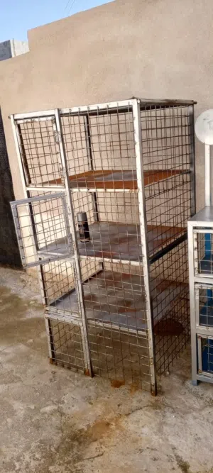 قفصين حمام حديد ثقيل للبيع