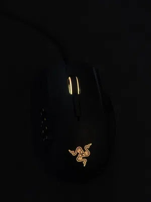Razer Naga de chroma (in excellent condition)