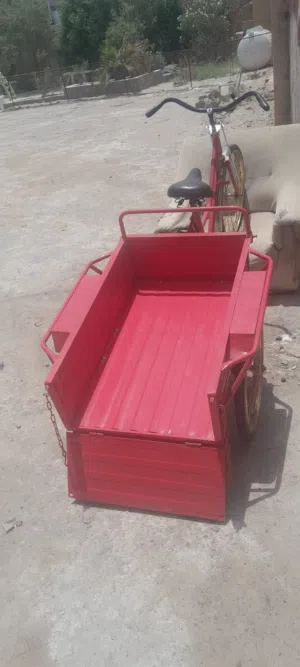ستوتة باسكل