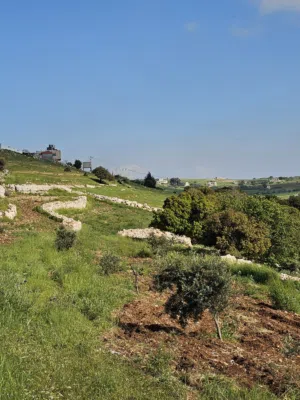 More than 6 bedrooms Farms for Sale in Irbid Al Mazar Al-Shamali
