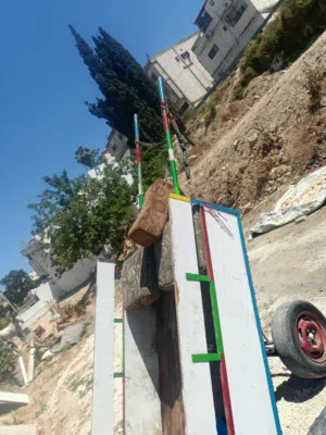 عرباية  خيل لسا جديده