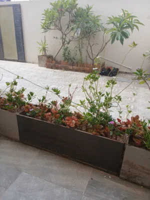 عمارة سكنية في الحشان