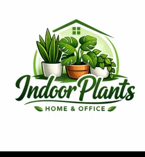 indoor plants trading 