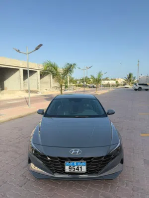 Used Hyundai Elantra in Dhofar
