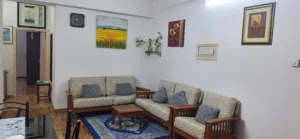 Classic Wooden Living Room Sofa Set