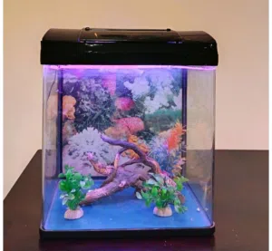 Premium LED Fish Aquarium – Ready to Use!