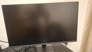 LG UltraGear 24G411A