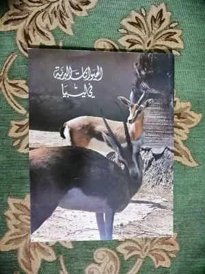 كتاب الحيوانات البرية في ليبيا