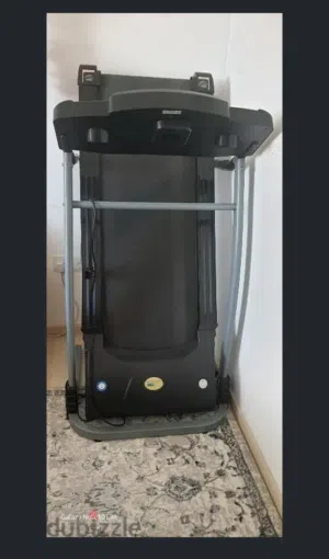 Skyland Treadmill