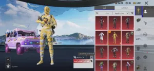Pubg Accounts and Characters for Sale in Al Ahmadi