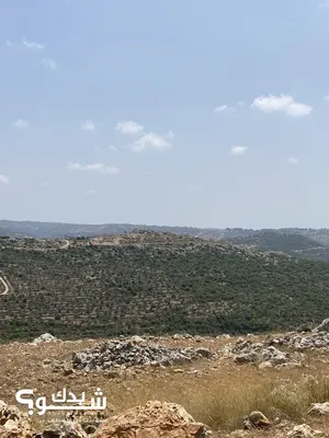 Mixed Use Land for Sale in Salfit Farkha