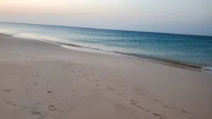 Commercial Land for Rent in Socotra Other