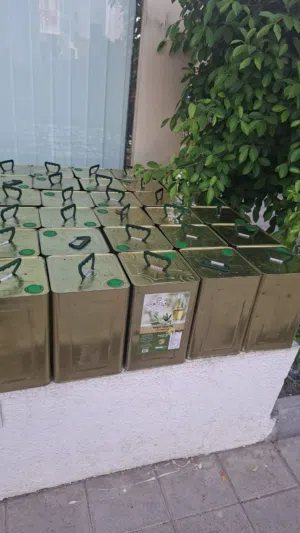 زيت زيتون جبلي بكر ممتاز عصرة أولى على البارد من جبال عفرين