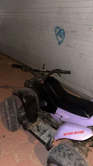 110cc 2 storke buggy 2019