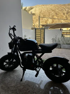 Electric mini bike