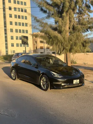 Tesla 2021 /8 model 3 تسلا مودل 3 2021