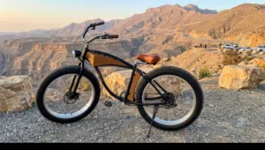 Bike in good condition