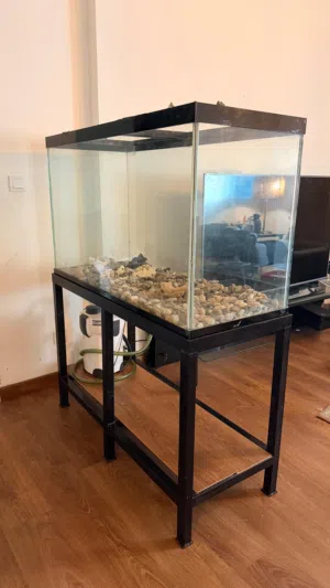 Large Glass Fish Tank with Stand & External Filter