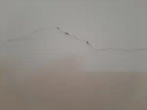 Farm Land for Sale in Al Batinah Al Khaboura