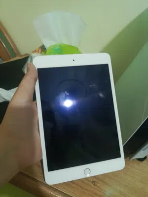 iPad mini 4