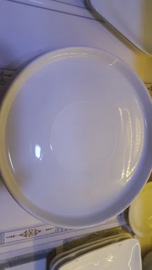 فضل 