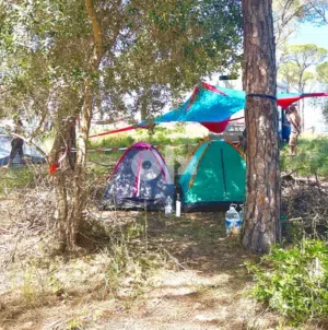 Tent for 2 Person. Band new, never opened