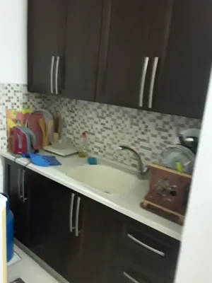 40 m2 Studio Apartments for Rent in Ramallah and Al-Bireh Birzeit