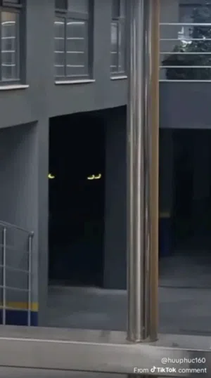 عبدالله 