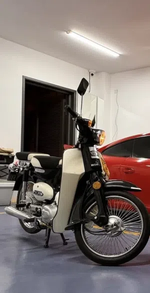 Super cup 100cc
