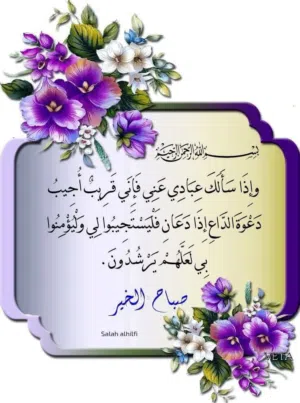 امجد العيداني 