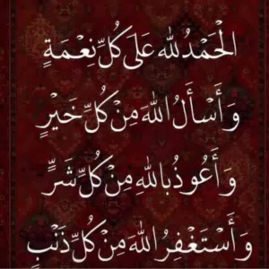 ابو احمد 