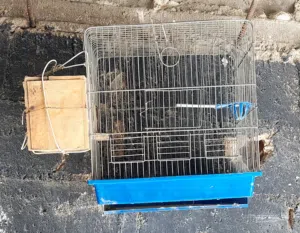 قفص عصافير مع كوخ + قفص كبير