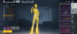 Pubg Accounts and Characters for Sale in Misrata