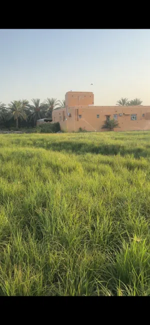 حشيش طعام حيوانات